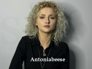 antoniabeese SexyIdol