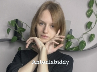 Antoniabiddy