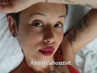 Antoniabonnet
