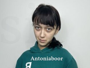 Antoniaboor