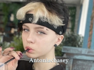 Antoniachasey