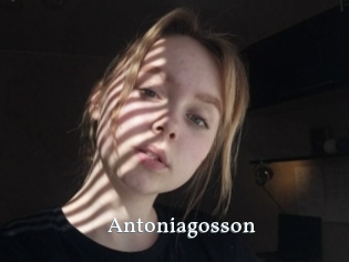 Antoniagosson