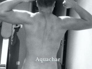 Aquachar