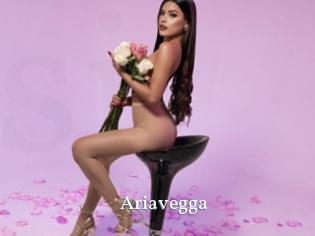 Ariavegga