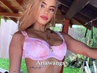 Ariawangs