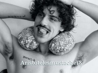 Aristotelesmustache18