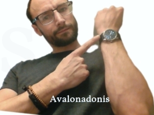 Avalonadonis
