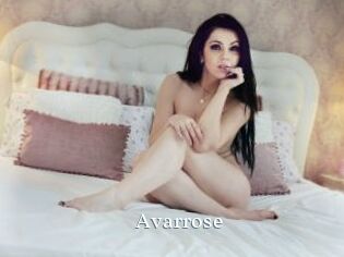 Avarrose