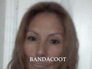 BANDACOOT