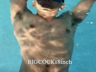 BIGCOCK18inch