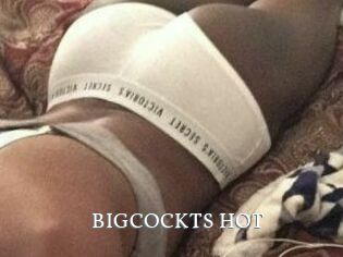 BIGCOCKTS_HOT