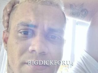 BIGDICKFORU4