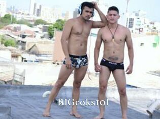 BIGcoks10I