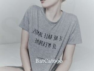 BatCat690