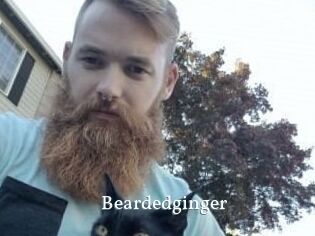 Beardedginger