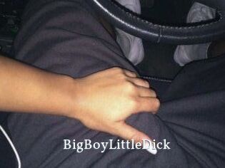 BigBoyLittleDick