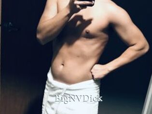 BigNVDick