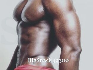BigSnack42300