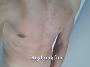 Bigdom4fun