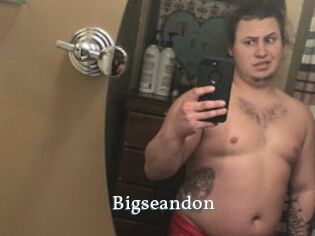 Bigseandon