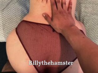 Billythehamster