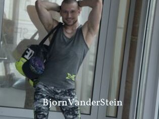 BjornVanderStein