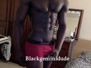 Blackgeminidude