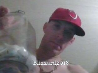 Blizzard2018