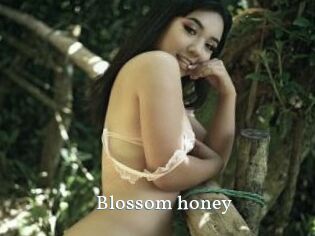 Blossom_honey