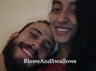 BlowsAndSwallows