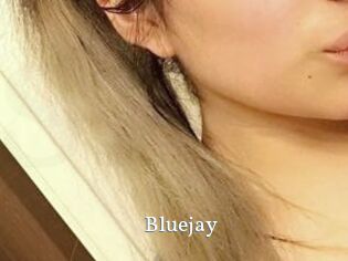 Blue_jay