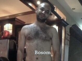 Bosom