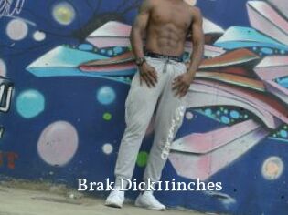 Brak_Dick11inches
