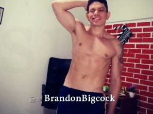 BrandonBigcock