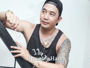 BrandonHarry SexyIdol