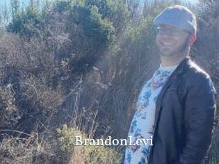 BrandonLevi
