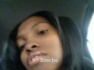 Breche