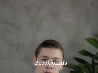 BredCollins SexyIdol