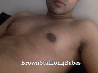 BrownStallion4Babes