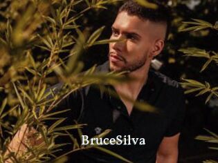 BruceSilva