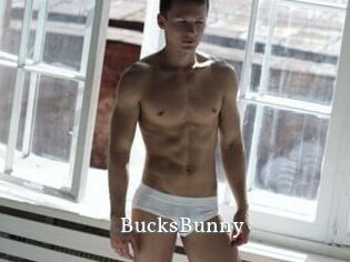 BucksBunny