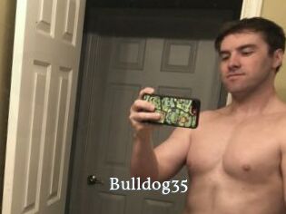 Bulldog35