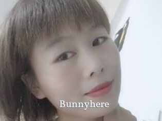 Bunnyhere