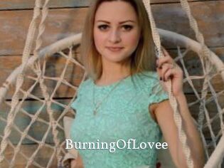 BurningOfLovee