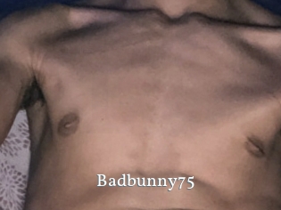 Badbunny75