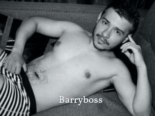 Barryboss