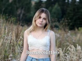 Berniecelittleb