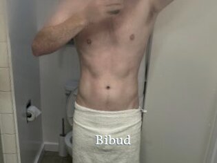 Bibud