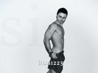 Bica1223