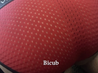 Bicub